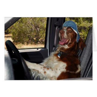 IK KAN NIET 55 RIJDEN!