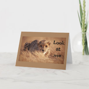 IK KAN NIET GELOVEN DAT "JIJ" "16" BENT KAART