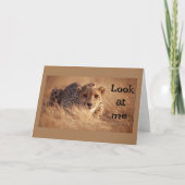 IK KAN NIET GELOVEN DAT "JIJ" "16" BENT KAART (Voorkant)