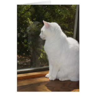 Ik kan niet wachten om je te zien