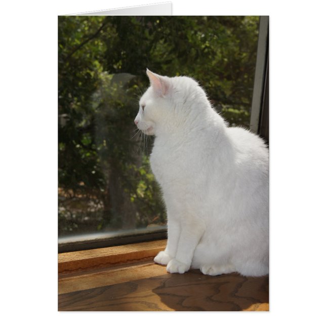 Ik kan niet wachten om je te zien (Voorkant)