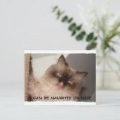 IK KAN ONGEHOORZAAM ZIJN OF NICE FEESTDAGENKAART (Staand voorkant)