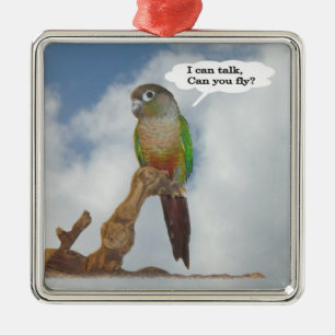 Ik kan praten, kan je vliegen? metalen ornament