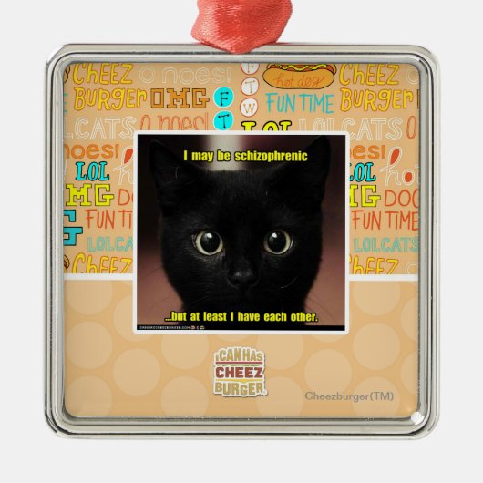 Ik kan schizofreen zijn metalen ornament (Voorkant)