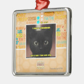 Ik kan schizofreen zijn metalen ornament (Links)