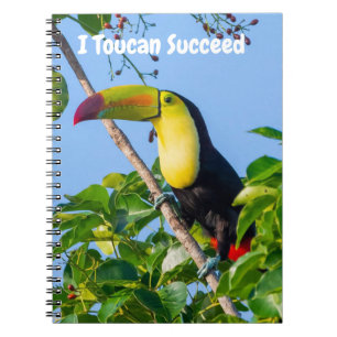 Ik kan succesvol zijn notitieboek