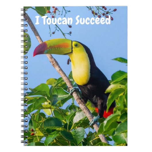 Ik kan succesvol zijn notitieboek (Voorkant)
