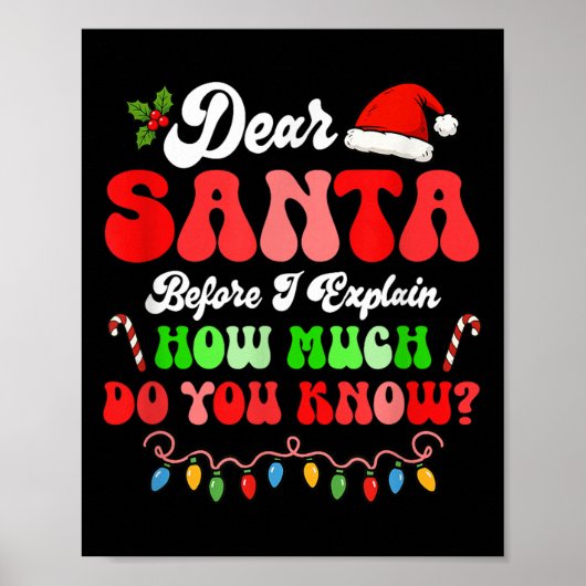 Ik kan uitleggen Kerstmis kleurrijke lichten Santa Poster (Voorkant)