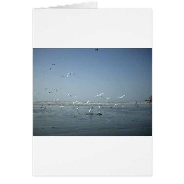 Ik kan vliegen (Voorkant)