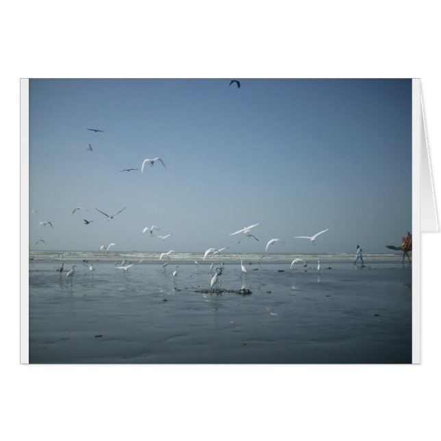 Ik kan vliegen (Voorkant Horizontaal)