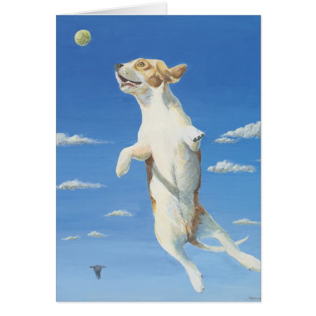 Ik kan vliegen! (Voorkant)