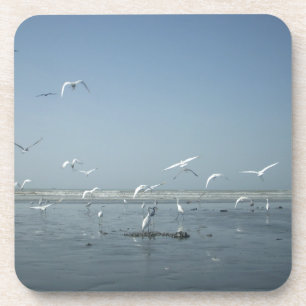 Ik kan vliegen bier onderzetter