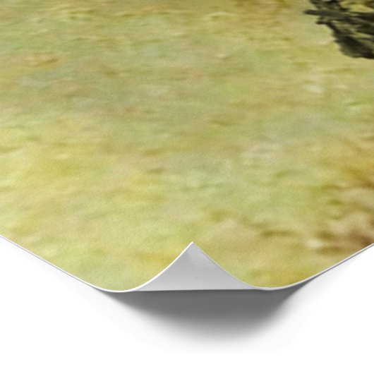 Ik ken een geheim poster (Hoek)