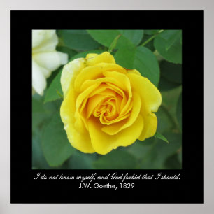 Ik ken mezelf niet. . . (Goethe) Poster
