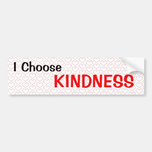 Ik kies Kindness Bumpersticker (Voorkant)