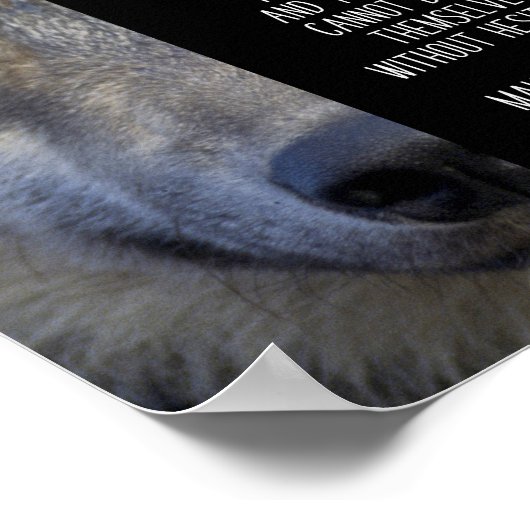 Ik kies om aardig te zijn, maar ik ben Fierce Poster (Hoek)