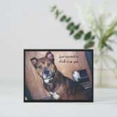 Ik kijk gewoon naar jou. briefkaart (Staand voorkant)