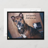 Ik kijk gewoon naar jou. briefkaart (Voorkant / Achterkant)