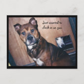 Ik kijk gewoon naar jou. briefkaart (Voorkant)