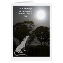 Ik kijk naar de maan