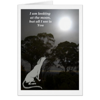 Ik kijk naar de maan