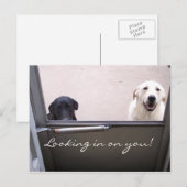 Ik kijk naar je. briefkaart (Voorkant / Achterkant)