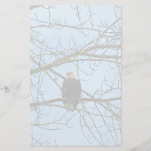 Ik kijk naar je briefpapier