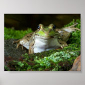 Ik kijk naar je Bullfrog Poster (Voorkant)