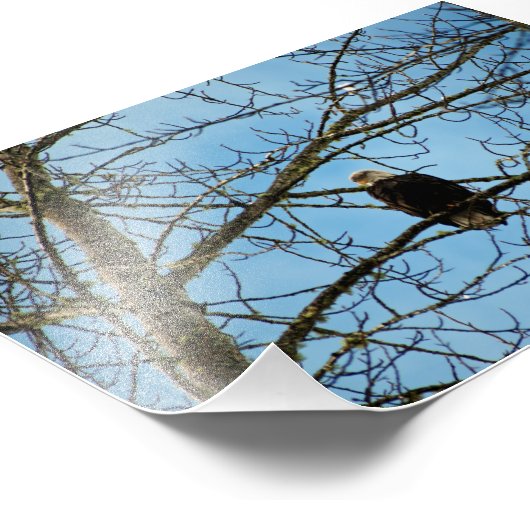 Ik kijk naar je foto afdruk (Hoek)