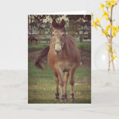 Ik kijk naar je kaart (Gele Bloem)