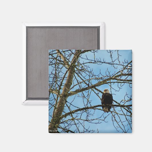 Ik kijk naar je magneet (Voorkant / Achterkant)