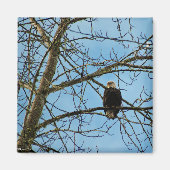 Ik kijk naar je magneet (Voorkant)