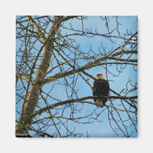 Ik kijk naar je magneet