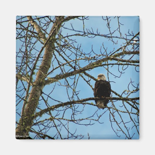 Ik kijk naar je magneet (Voorkant)