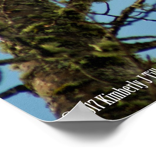 Ik kijk naar je poster (Hoek)