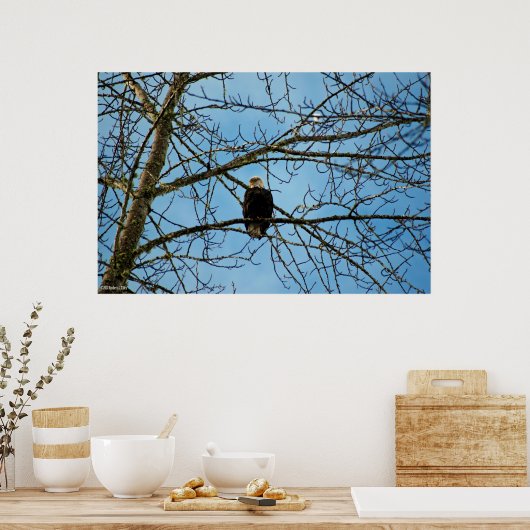 Ik kijk naar je poster (Keuken)