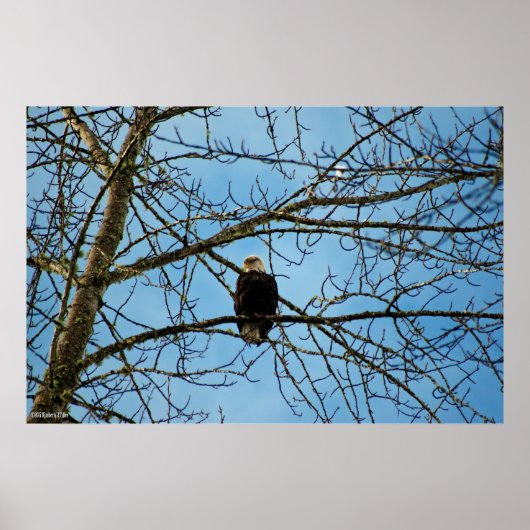 Ik kijk naar je poster (Voorkant)