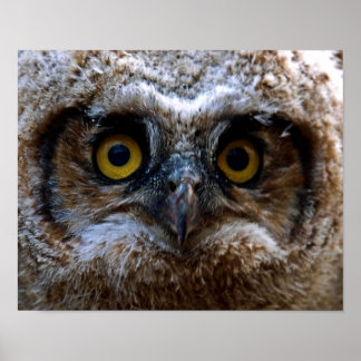 Ik kijk naar je poster