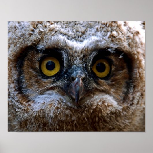 Ik kijk naar je poster (Voorkant)