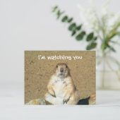 "Ik kijk naar je" Prairie Dog Briefkaart (Staand voorkant)