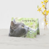 Ik kijk op je kaart (Gele Bloem)