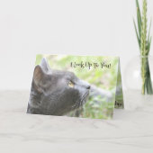 Ik kijk op je kaart (Voorkant)