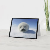 Ik knuppel u (liefde/Valentijnsdagkaart) Feestdagen Kaart (Voorkant)