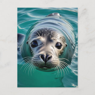 Ik kom alleen even bij je kijken   Contact houden Briefkaart