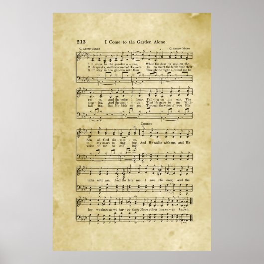 Ik kom alleen naar het evangelblad voor de tuin. poster (Voorkant)