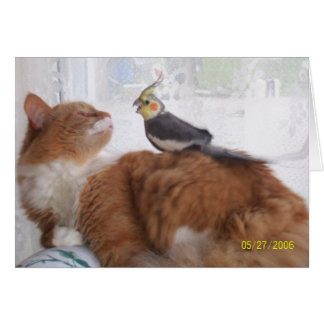 Ik kom er gewoon langs om te zeggen Hi