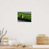 Ik kom eraan papa poster (Keuken)