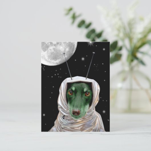 Ik kom in vrede briefkaart (Staand voorkant)