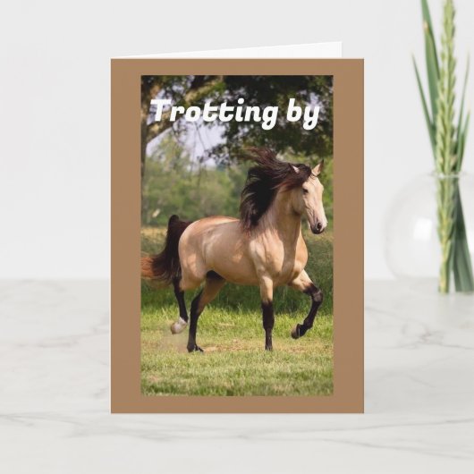 IK KOM LANGS OM "70STE" VERJAARDAG TE ZEGGEN KAART (Voorkant)