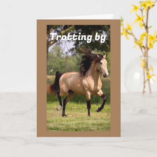 IK KOM LANGS OM "70STE" VERJAARDAG TE ZEGGEN KAART (Gele Bloem)